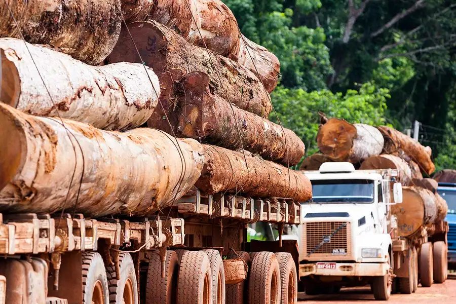 Deforestation in the Amazon